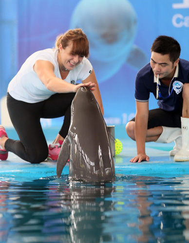 独行侠成功 独行侠成功